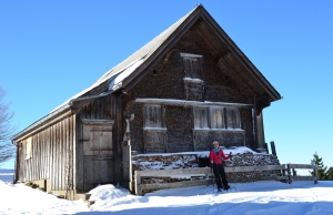 Another Alpine hut.