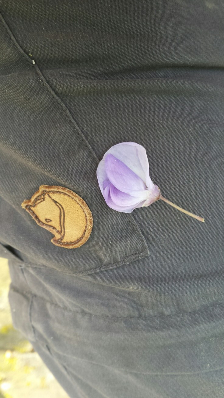 Home Sweet Dreaming  These hiking pants from Fjäll Räven are my favorite, and not just for hiking!