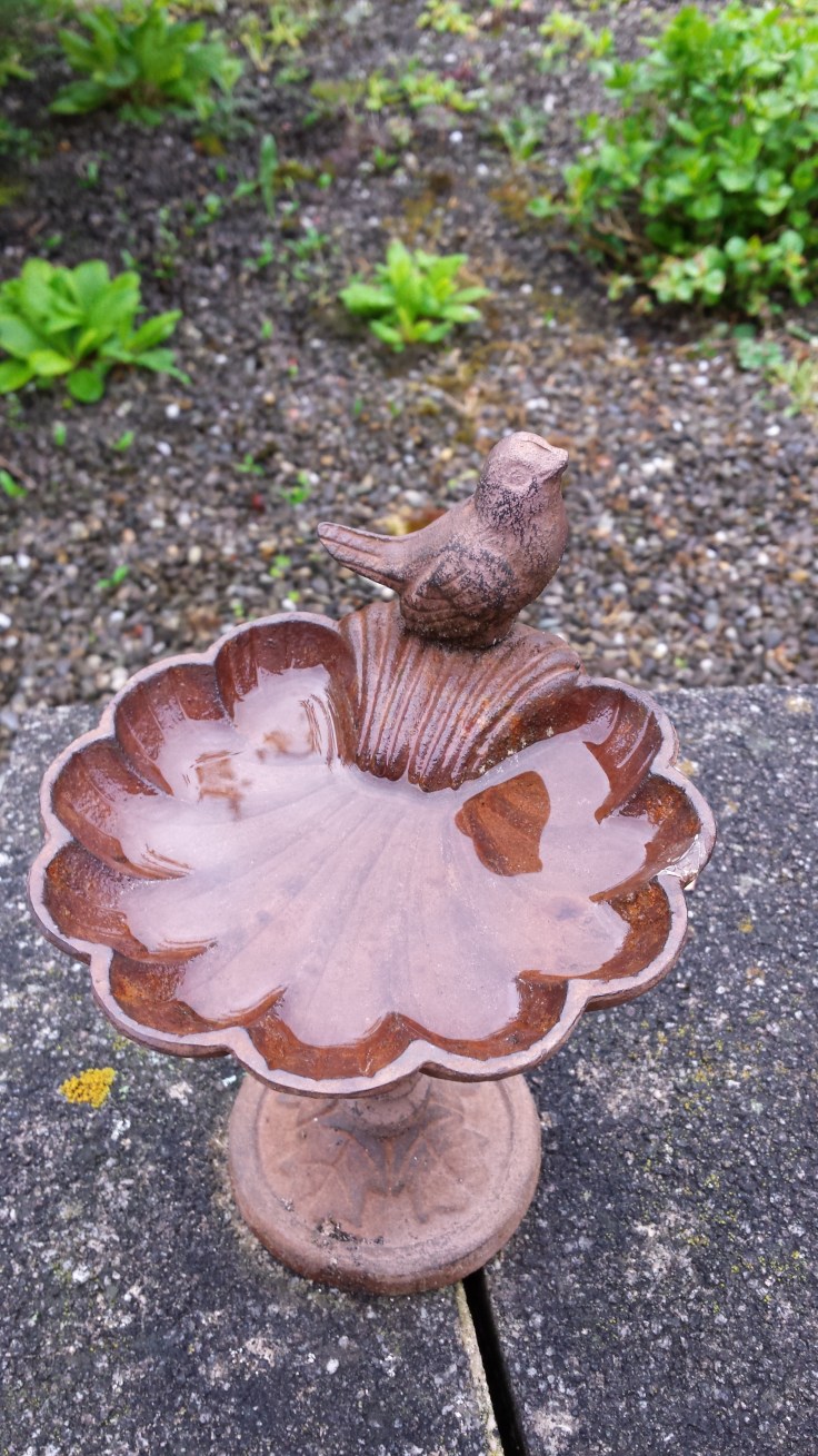 Home Sweet Dreaming In my Garden