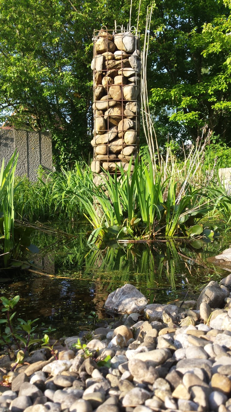 Home Sweet Dream My favorite element of our garden.